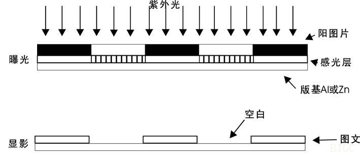 标签印刷